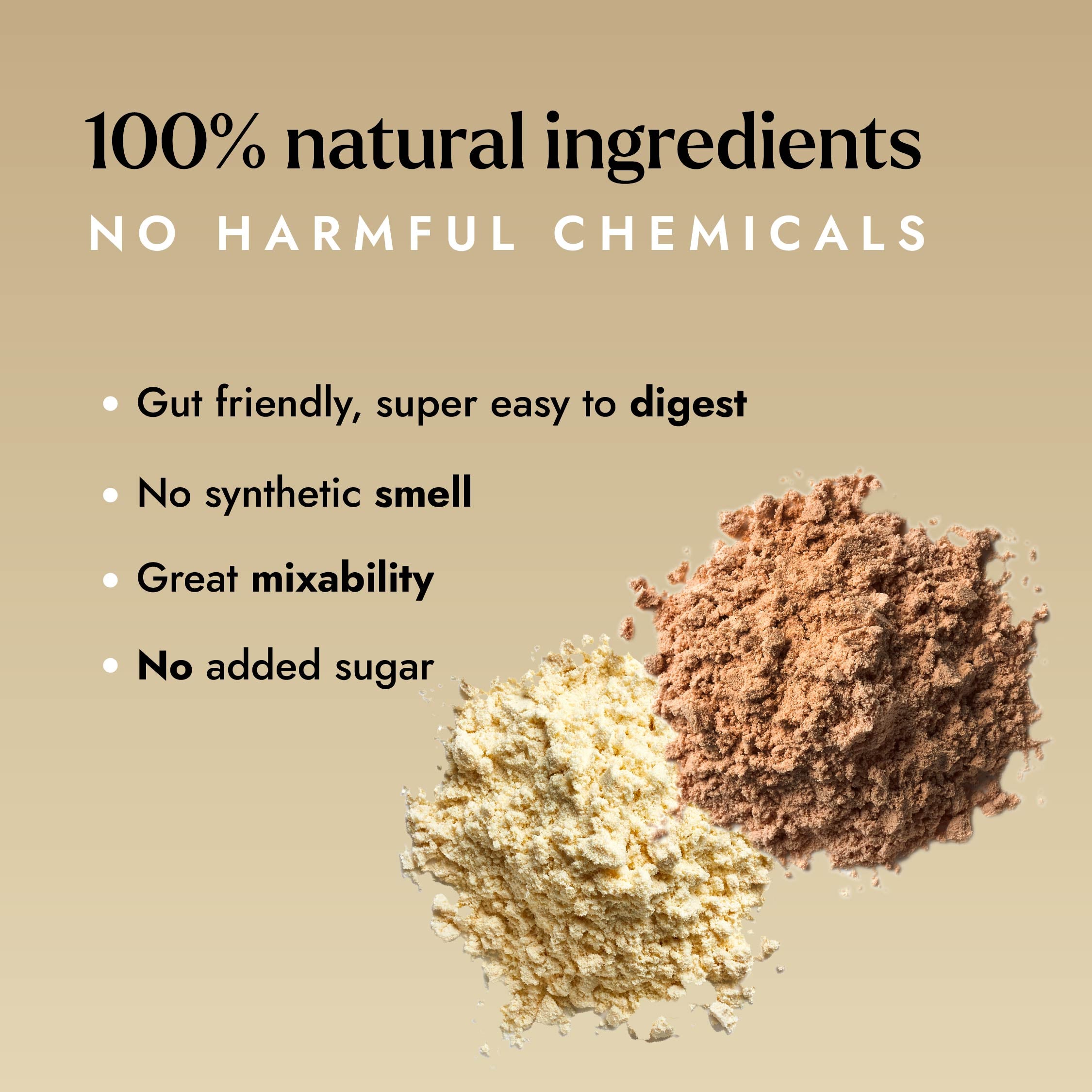 Plant Protein Isolate: Natural Cocoa & Unflavoured (Pack of 2 Flavours) - Shyft