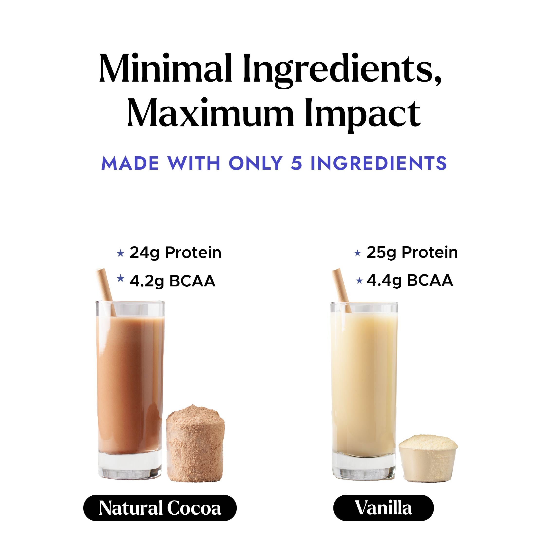 Plant Protein Isolate: Natural Cocoa & Vanilla (Pack of 2 Flavours) - Shyft