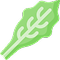 Stevia (Natural sweetner)