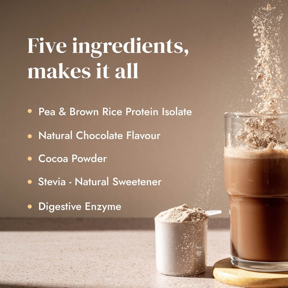 Plant Protein Isolate: Natural Cocoa (Pack of 2) - Shyft