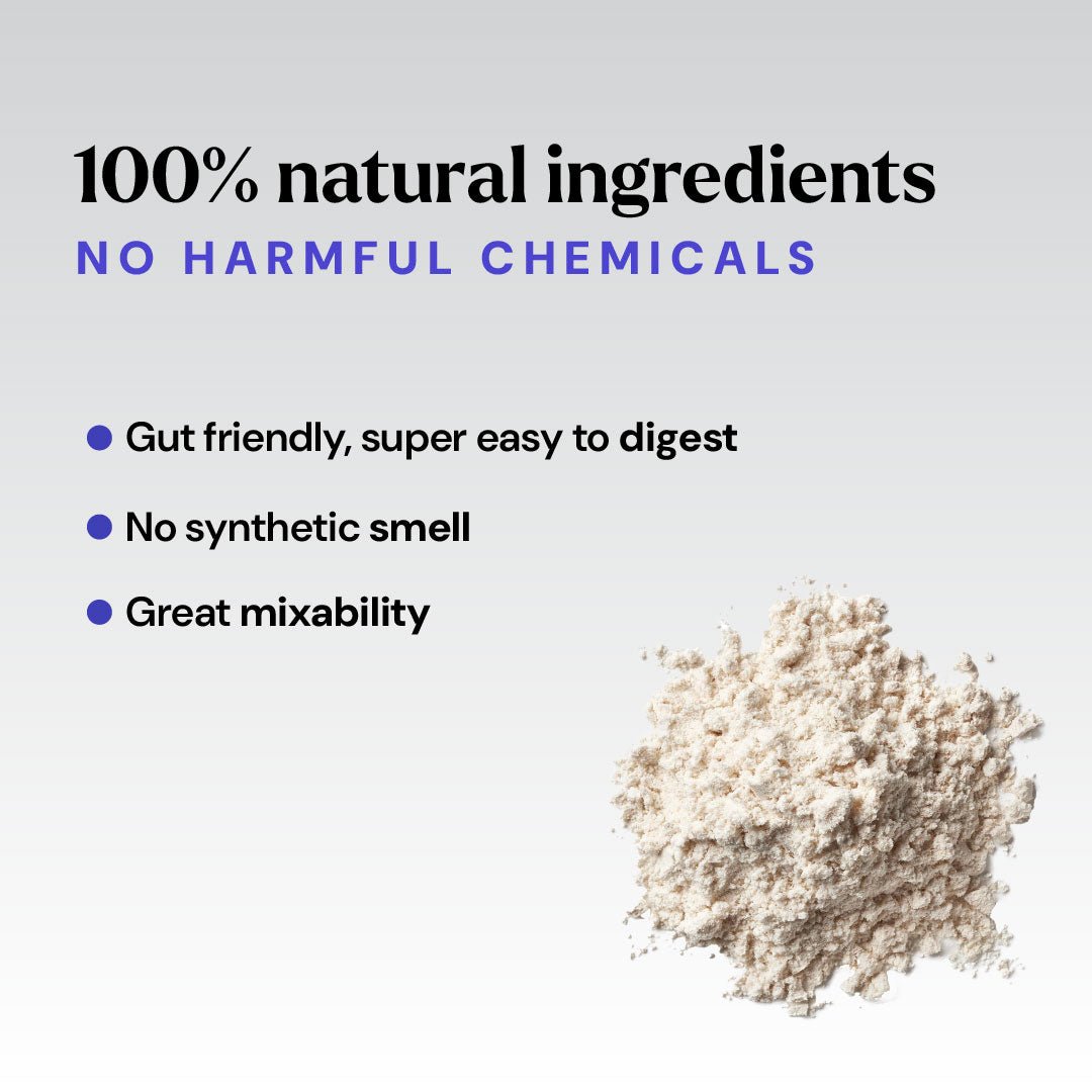 Plant Protein Isolate: Unflavoured Travel Pack (7 X Single Serve Sachets) - Shyft